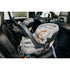 MESA MAX Infant Car Seat | Grey