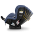 UPPAbaby Rove Car seat | Cody