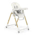 Peg Perego Prima Pappa Zero 3 High Chair | Hi-Tech