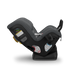 UPPAbaby Rove Car Seat | Greyson