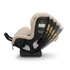 UPPAbaby Rove Car Seat | Kavneer