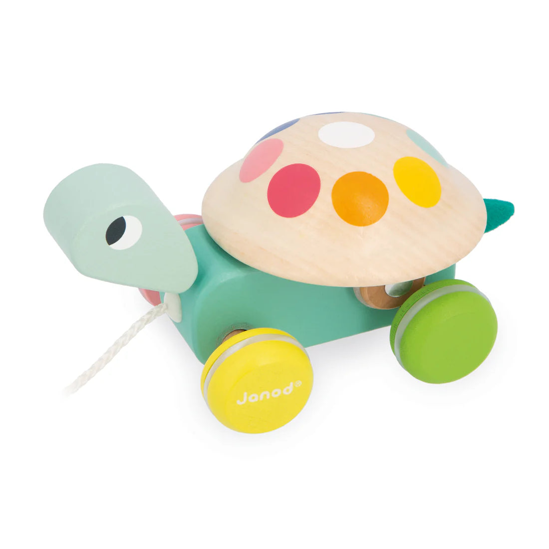 Janod Zigolos Pull-Along Turtle | Wooden Pull Toy for Toddlers